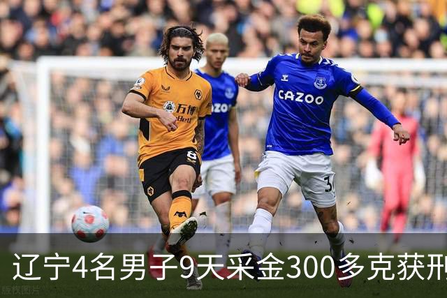 辽宁4名男子9天采金300多克获刑，村里砂土为何能淘金？土法筛金对人体和环境有何危害？